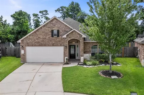 4403 Crosley Field Dr, Spring, TX 77389 photo 1