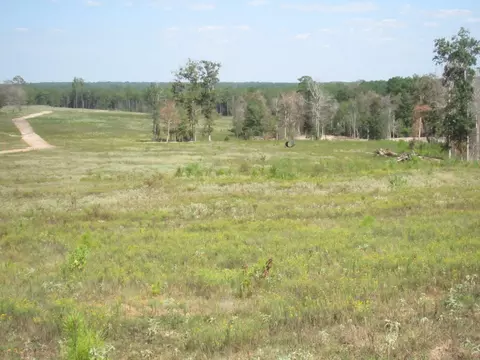 000 20 Fm256 N, Woodville, TX 75979