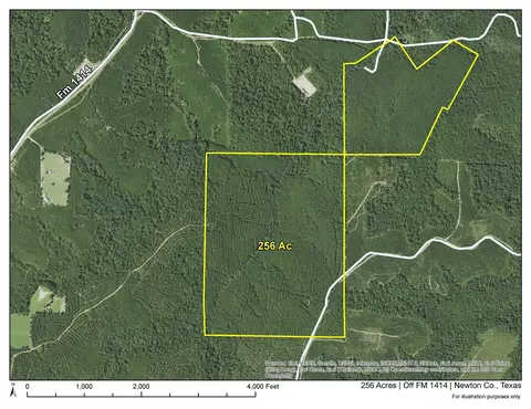2 Off Fm 1414, Burkeville, TX 75966