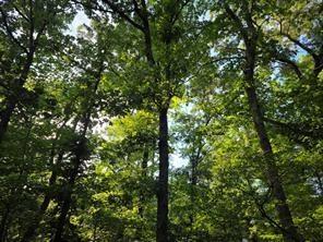 0 Timber Rdg, Larue, TX 75770