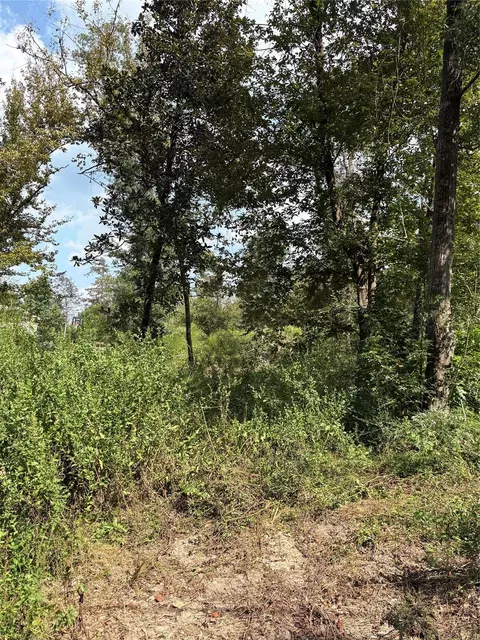 tbd Walnut Ridge Rd, Livingston, TX 77351