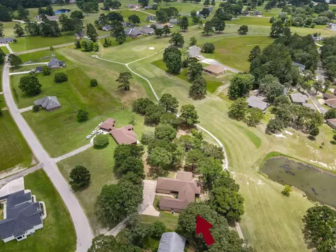 View/Area - 273 Augusta Dr, Trinity, TX 75862 photo 2 of 9