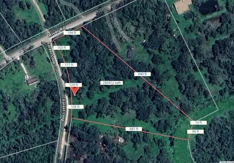 107 Forest Loop, Angleton, TX 77515 photo 2
