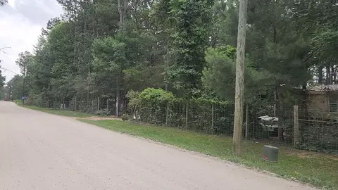 lot5 B55 Tawnyberry Ln, Plantersville, TX 77363