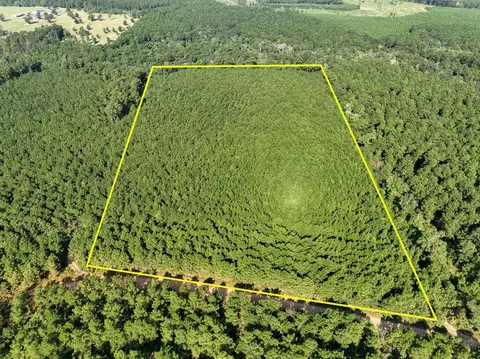0 Shady Grove Rd, Woodville, TX 75979