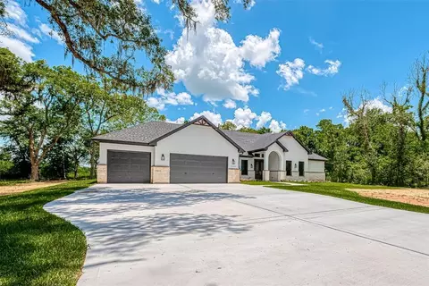 21402 Chenango Lake Dr, Angleton, TX 77515 photo 1