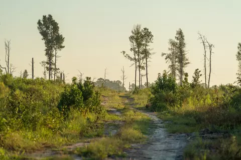 tbd County Road 33, Jasper, TX 75938 photo 3