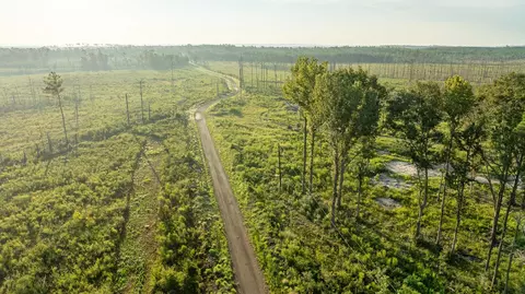tbd County Road 33, Jasper, TX 75938 photo 25