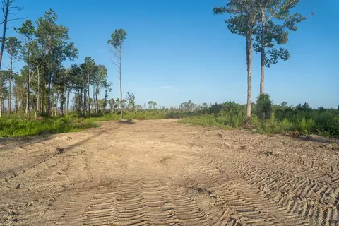 tbd County Road 33, Jasper, TX 75938 photo 16