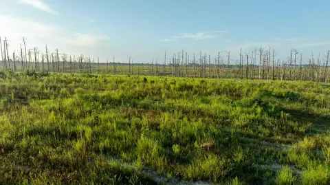 tbd County Road 33, Jasper, TX 75938 photo 31