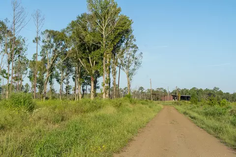 tbd County Road 33, Jasper, TX 75938 photo 14