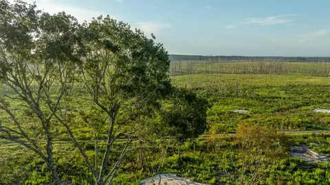 tbd County Road 33, Jasper, TX 75938 photo 23