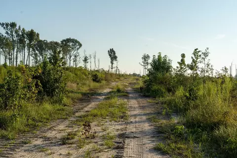 tbd County Road 33, Jasper, TX 75938 photo 12