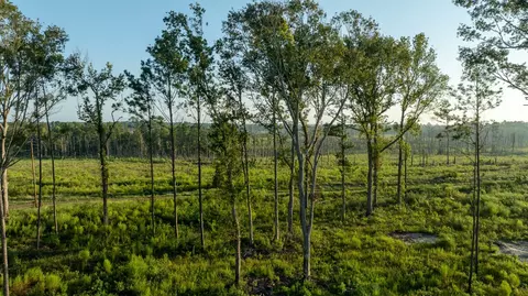 tbd County Road 33, Jasper, TX 75938 photo 22
