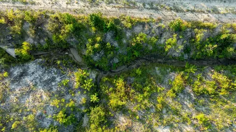 tbd County Road 33, Jasper, TX 75938 photo 18
