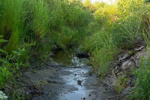 tbd County Road 33, Jasper, TX 75938 photo 7