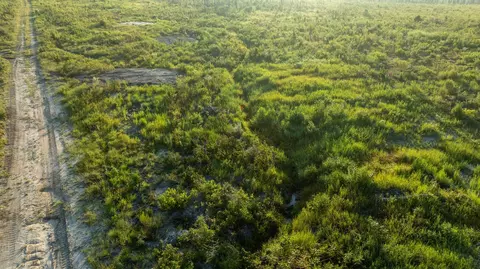 tbd County Road 33, Jasper, TX 75938 photo 19