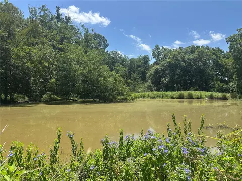 32 Ac County Road 2521, Centerville, TX 75833