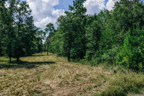 0 Broadway Ave, Conroe, TX 77385 photo 11
