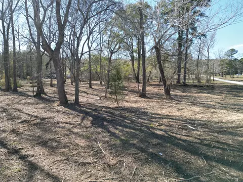 000 Red Oak Dr, Plantersville, TX 77363