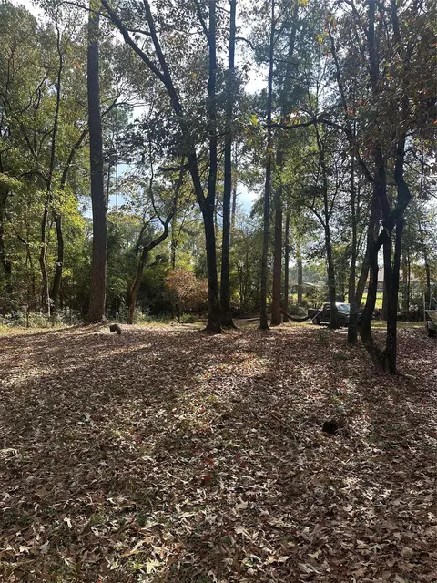 376 Nueces Dr, Trinity, TX 75862 photo 6
