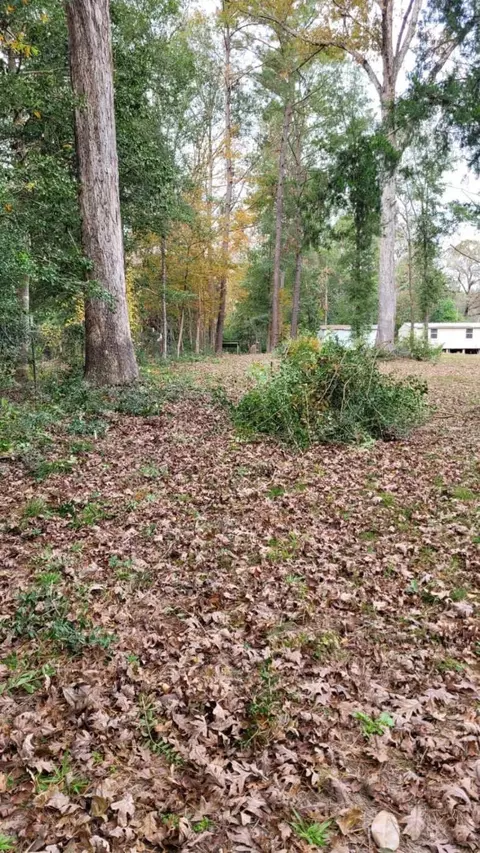 0 Beverly Dr, Shepherd, TX 77371