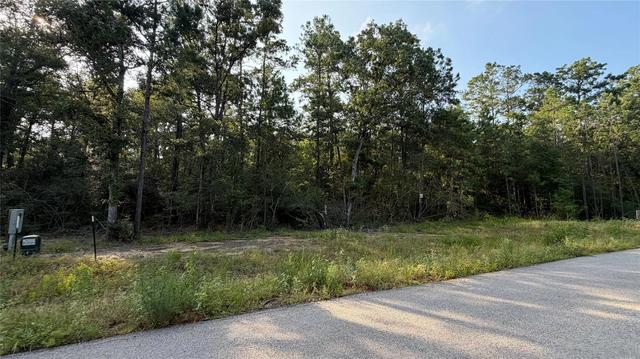 202 Kings Ct, Dayton, TX 77535