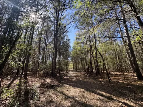 tbd County Road 3930, Colmesneil, TX 75938