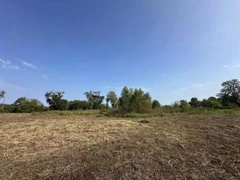00 Cr-244, Brazoria, TX 77422 photo 3