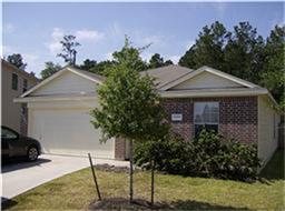 28707 Leon River Ct, Spring, TX 77386 photo 1