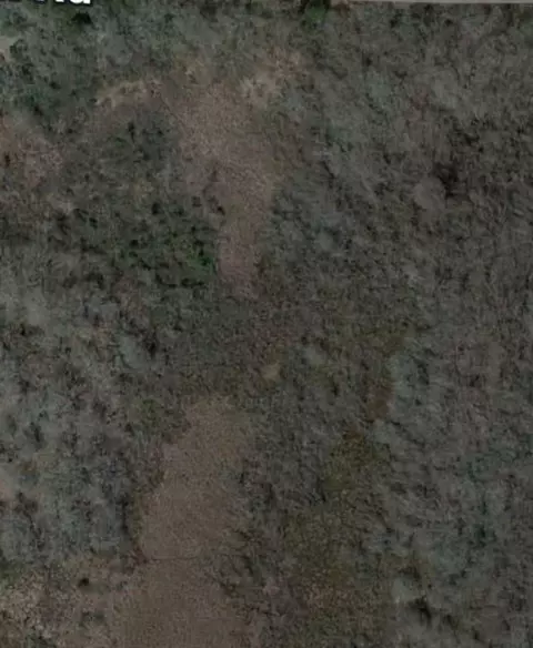 tbd Ranch Road Dr, Hilltop Lakes, TX 77871