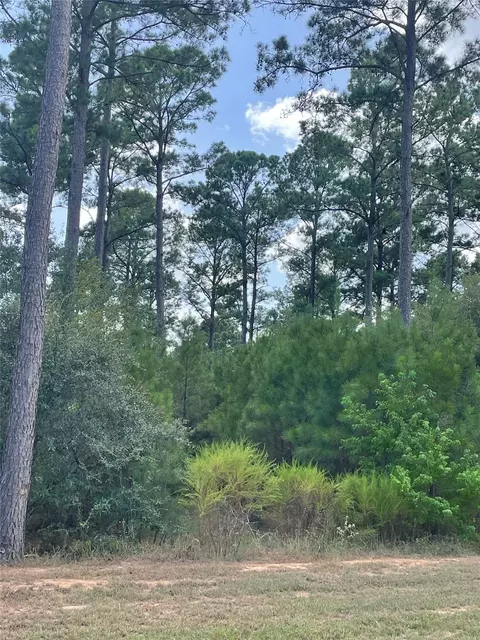9424 Old Cedars Dr, Plantersville, TX 77363
