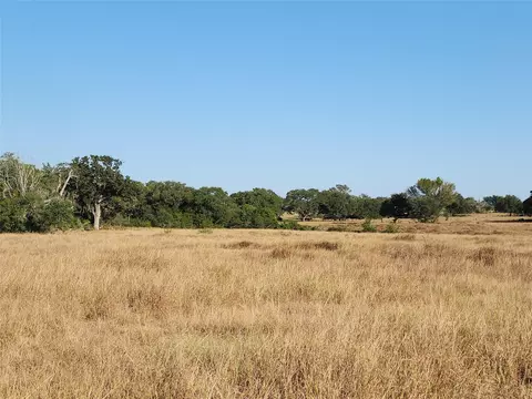 tbd Tbd Fm 318, Hallettsville, TX 77964