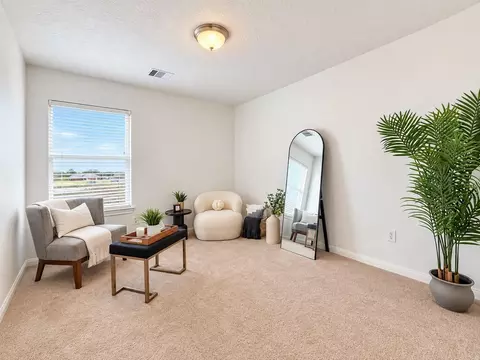 Other - 21418 Avalon Queen Dr, Spring, TX 77379 photo 8 of 9