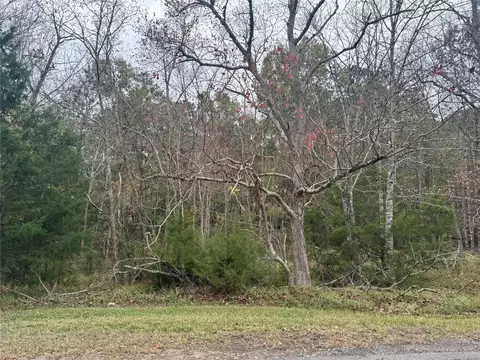 22 S Forest Cove Loop, Coldspring, TX 77331