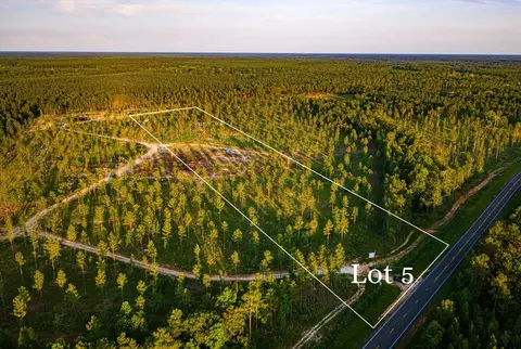 tbd Lot 5 Fm 1276, Livingston, TX 77351
