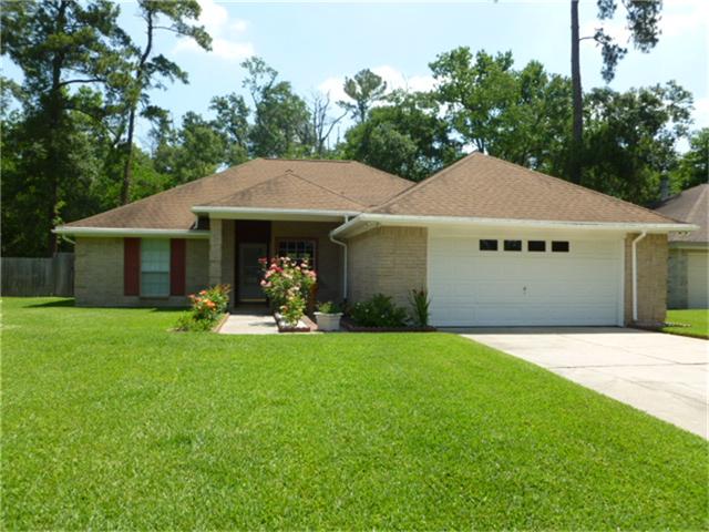 25202 Lynbriar Ln, Spring, TX 77373 photo 1