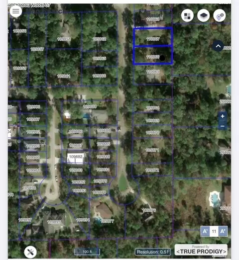 00 Longleaf Dr, Conroe, TX 77385 photo 3