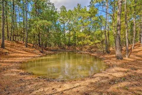 157 Oates Brothers Rd, Trinity, TX 75862 photo 3
