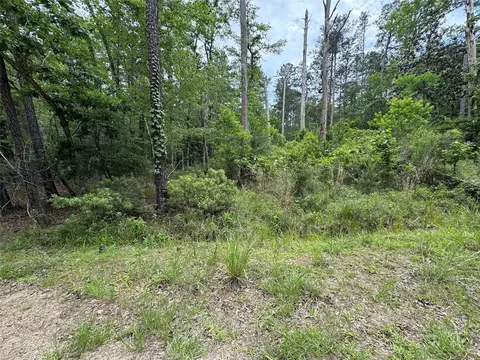 239238 Arborcrest Dr, Brookeland, TX 75931