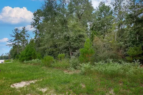 tbd Sky Oak Ln, Huntsville, TX 77340