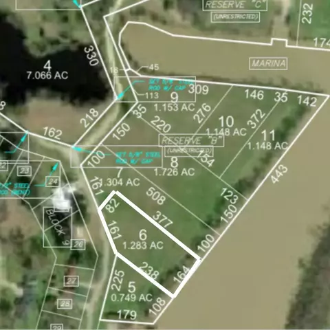 lot6 Lake Livingston Ln, Trinity, TX 75862