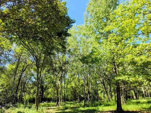 tbd 3rd St, Batson, TX 77519 photo 5