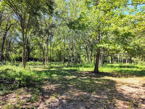 tbd 3rd St, Batson, TX 77519 photo 6