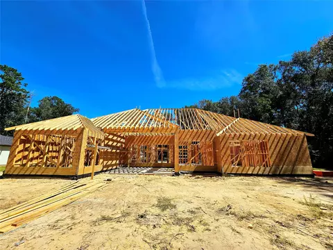 17126 S Saba, Splendora, TX 77372 photo 8