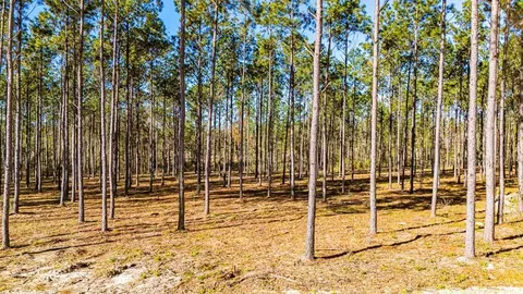 lot13 Big Buck Dr, Moscow, TX 75960