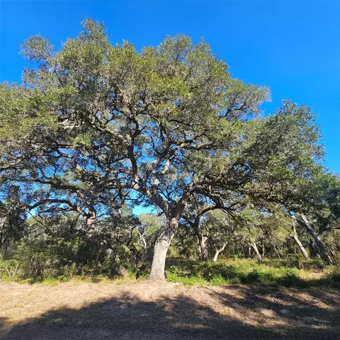 tbd Sandy Creek Dr, Garwood, TX 77442