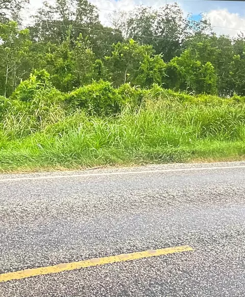 0 0 Fm 521, Cedar Lane, TX 77415