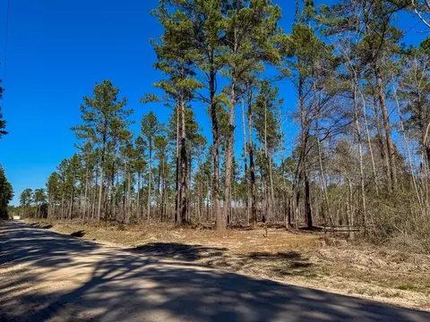 Other - 02 Boontown Rd, Trinity, TX 75845 photo 9 of 11