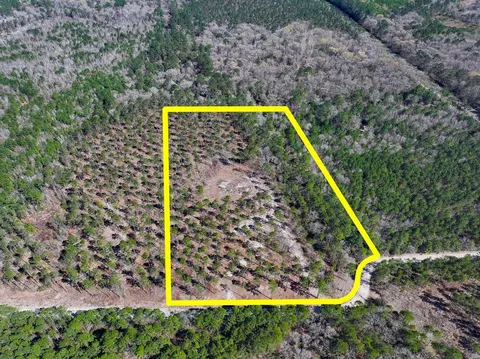 Other - 02 Boontown Rd, Trinity, TX 75845 photo 4 of 11